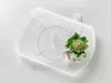 A transparent turntable with a Romanesco broccoli and two mushrooms on it, set against a light gray background. Anteprima dell’immagine prodotto