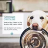 REAVET Ruhepol Tabletten für Hunde 120 Stück – mit Baldrian Produktbild-Vorschau 3