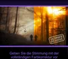 A split image showing a dark, misty forest on the left and a bright, sunlit forest on the right, with two cyclists in silhouette on a path. A promotional badge is overlaid on the right side. Produktbild-Vorschau