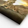 Bild auf Leinwand - Leinwandbild - Löwen Sonnenuntergang Produktbild-Vorschau 5