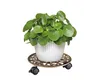 WAGNER® design yourself 20092501 WAGNER® design yourself Anteprima dell’immagine prodotto 7