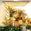 A collection of potted plants illuminated by a grow light. Produktbild-Vorschau