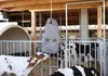 Kerbl Heutasche HayBag Big 210 l grau Baumwolle, 20 Produktbild-Vorschau 3