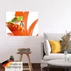 ARTland Poster Frosch auf seinem Thron Größe: 60x45 cm Produktbild-Vorschau 5