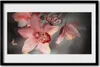 Bild 60x40 MDF-Rahmen Wandkunst Flowers On The Wall Produktbild-Vorschau 1