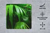MuchoWow® Mauspad Mousepad Palmenblätter im Dschungel 30x30 Produktbild-Vorschau 2