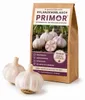 Pflanzknoblauch Primor 3 Knollen – aromatischer Knoblauch Produktbild-Vorschau 1