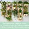 Wandpflanzer Holz 30 cm, Wand Blumentopf Halter, Massivholz Produktbild-Vorschau 6
