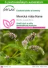 SAFLAX - Mexická mäta Nana - Mentha spicata Nane - 500 Náhľad obrázku produktu 1