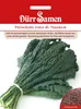 Palmkohl Nero di Toscana | Palmkohlsamen von Dürr Samen Produktbild-Vorschau 3