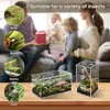 Solidchoice - Acryl Terrarium voor Springspinnen, Set van 2 Productafbeelding-voorbeeld 5