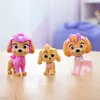 PAW Patrol PAW RLP Skye Figure Pack INTL PPTMM GML, 3 rok / Náhľad obrázku produktu 12