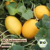 Samenliebe  Melone Samen | Di Cosenza - süß - samenfestes  Produktbild-Vorschau 4