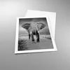 Poster - Poster ohne Rahmen - Elefant Wildnis Natur - 50x70 Produktbild-Vorschau 3