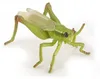 Papo SAS, figuur van 4 cm, sprinkhaan, vanaf 3 jaar Productafbeelding-voorbeeld 8