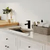 A modern bathroom or kitchen sink area with a black faucet, sink, and various accessories. Náhled obrázku produktu