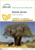 SAFLAX  - Baobab africain - 6 graines - Adansonia Voir les images du produit 1