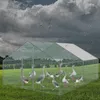 Kurnik Izrielar 3x4x2 m z dachem, ocynkowana metalowa Podgląd zdjęcia produktu 9