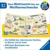 Wieso? Weshalb? Warum? 17: Komm mit ans Meer Produktbild-Vorschau 3