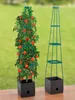 Pflanzentopf mit Tomatenstütze, Kletterpflanze, 150 cm Produktbild-Vorschau 2