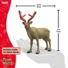 schleich WILD LIFE 72271, 14 Jahr(e), Mehrfarbig, 1 Produktbild-Vorschau 5