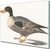 Coloray Kochplattenabdeckung Herdabdeckplatte 60x52 cm Produktbild-Vorschau 1