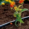 Gardena Mds Kapač Koncový 2 L/H 13307-20 Náhled obrázku produktu 8