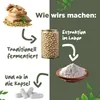 Nattokinase | 20.000 FU/G | 365 Kapseln Produktbild-Vorschau 4