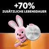 DURACELL  4 DURACELL Knopfzellen CR 2025 3,0 V Productafbeelding-voorbeeld 5