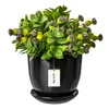 Pot en céramique Pot de fleurs Cache-pot Pot de fleurs Voir les images du produit 1