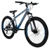 Mountainbike Davi Terrano 26 Zoll, 145–170 cm, 21 Gänge, Produktbild-Vorschau 1