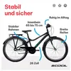 26 Zoll Kinderfahrrad, 3-Gang Nexus, Rücktritt (N3), MTB Produktbild-Vorschau 5