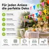 100 mètres de chaîne de fanions XXL multicolores - Bannière Voir les images du produit 2