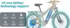 An illustration of an electric bicycle with highlighted battery and protection features. Produktbild-Vorschau