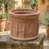 Teramico « Cilindro Cipressi » Pot de fleurs en terre cuite Voir les images du produit 2