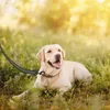 5 Meter WELLGRO Schleppleine für Hunde mit Handschlaufe und Produktbild-Vorschau 7