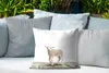 MuchoWow® Outdoor Kissen - Lamm - Schaf - Tiere - Kinder - Produktbild-Vorschau 4