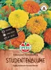 SPERLI Studentenblumensamen Sonnenschein Prachtmischung Produktbild-Vorschau 1