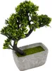 Künstliche Bonsai-Pflanze im modernen Betontopf – Produktbild-Vorschau 3