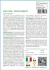 SAFLAX  - Acero rosso  - 20 semi - Acer Anteprima dell’immagine prodotto 3
