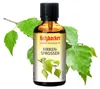 Holzhacker vonný olej z brezových výhonkov 60 ml Náhľad obrázku produktu 1