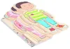 Beleduc Holzpuzzle Junge - Lernspielzeug Körper Anatomie Produktbild-Vorschau 3