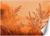 Vlies fototapete Pflanzen Abstrakt Orange 200x140 cm Feeby Produktbild-Vorschau 1