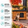 Katzenhaus XL Katzenhütte Katzenhöhle Outdoor draußen Produktbild-Vorschau 3