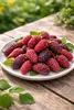 Tayberry Rubus Himbeere-Brombeere Kreuzung 60–70 cm – Produktbild-Vorschau 2