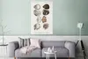 MuchoWow® Poster Muschel - Vintage - Meer 80x120 cm - Produktbild-Vorschau 5