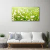 Tulup Leinwand-Bilder 100x50 Wandbild Canvas Kunstdruck Produktbild-Vorschau 3