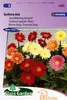 Semi di Gerbera Mix - Miscela colorata a fiore grande - Anteprima dell’immagine prodotto 1
