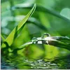 ARTland Glasbild Grüner Hintergrund mit Gras Größe: 30x30 Produktbild-Vorschau 1