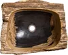 Wasbak van versteend hout, afmetingen 50 x 38 x 15 Productafbeelding-voorbeeld 6